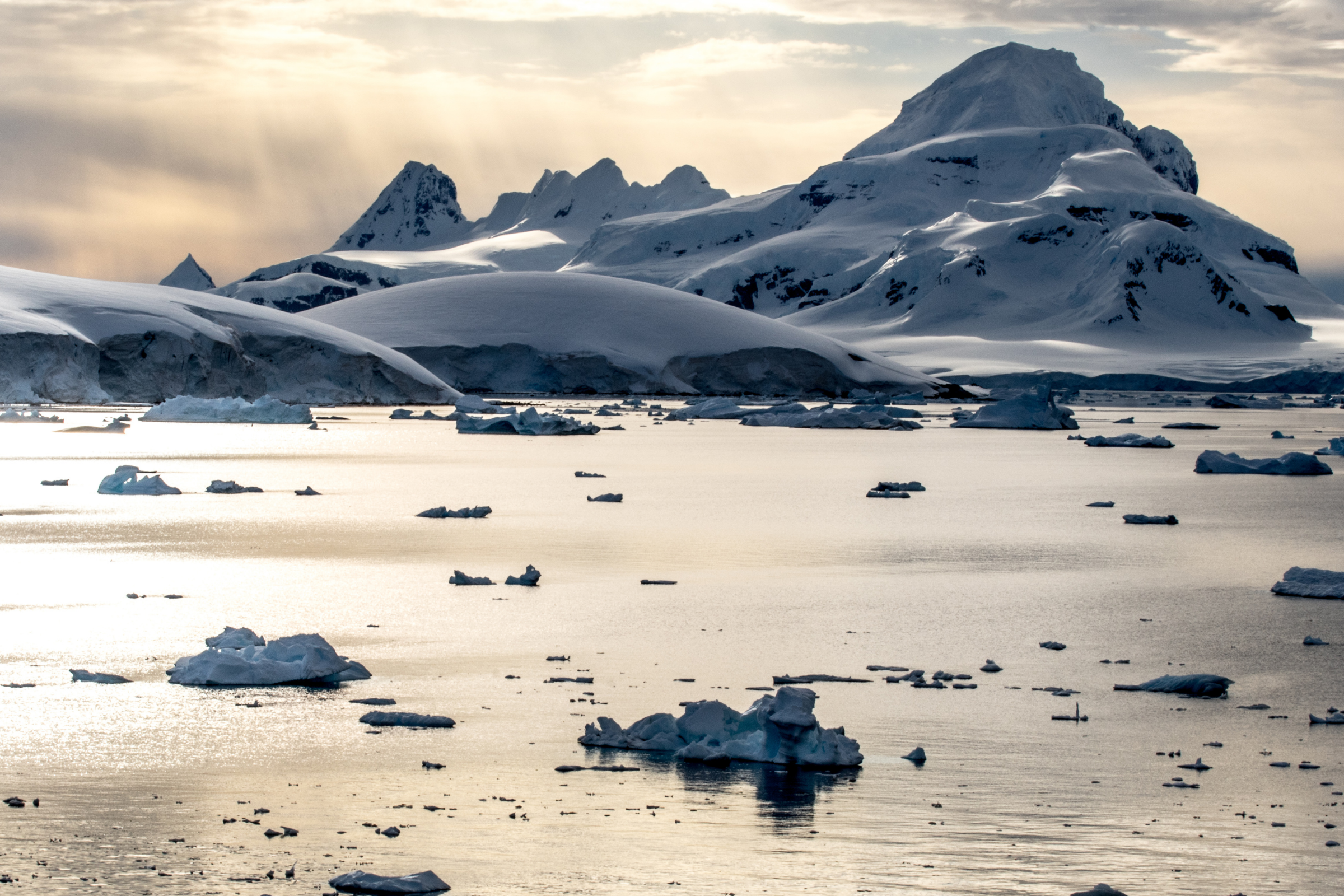 marguerite bay (3).webp